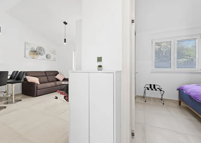 Barbariga 아파트 Mednjan